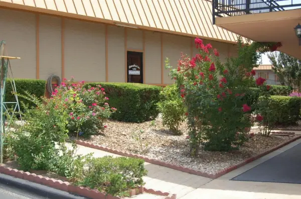 Executive Inn and Suites Springdale 10